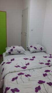 Loznicki stan na dan - Loznica - 7