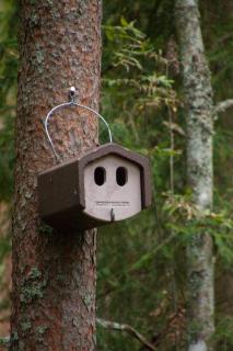 Pullijärve Holiday Park - Misso - 5