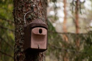 Pullijärve Holiday Park - Misso - 6