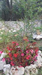 La Dimora Del Cuore - Monopoli - 9