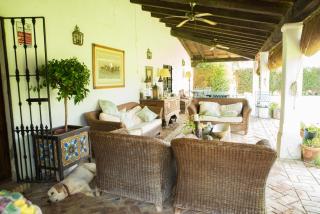 Hacienda La Indiana - Los Palacios y Villafranca - 4