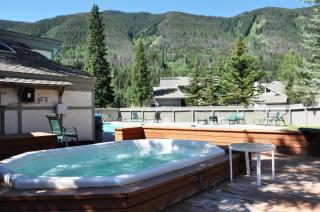 Gore Creek Meadows - 8