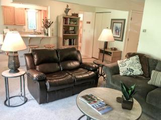 Remodeled 2 Bedroom East Vail Condo #102 w/ Hot Tub. Steps to Shuttle. - 1