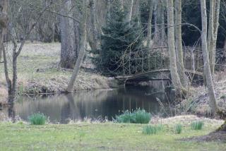 Le Parc des Aubiers - Brion - 1