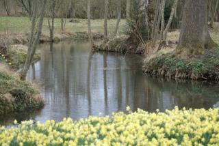 Le Parc des Aubiers - Brion - 2