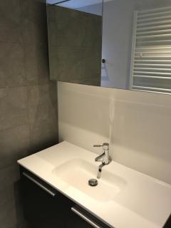 Villa Oscar with sauna in Winterswijk - 1