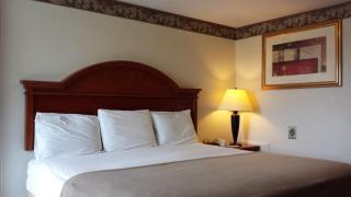 Americas Best Value Inn - Palmyra/Hershey - Palmyra - 5