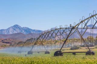 Hazenjacht Karoo Lifestyle - ROOIKOP - Oudtshoorn - 1