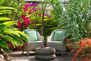 Finca Botanico Secret Garden - Guatiza - 0