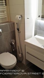 Holiday Apartments - Karlovy Vary - 6