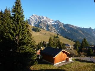 La Combe Blanche 1307 - Manigod - 4