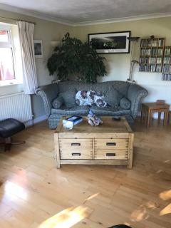 Ivy Cottage - 2