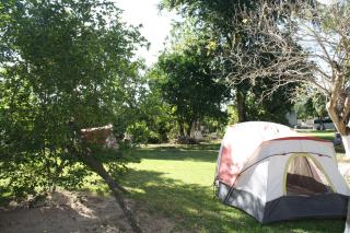 Yaxche Centro Hostal y Camping - 3