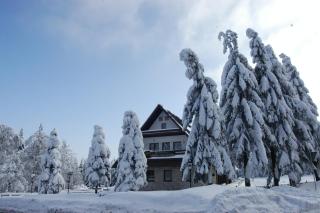 Berggasthof Heuberghaus, direkt am Rennsteig - Friedrichroda - 3