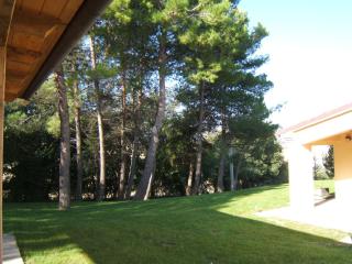 Agriturismo I Ciliegi del Checco - San Marcello - 4