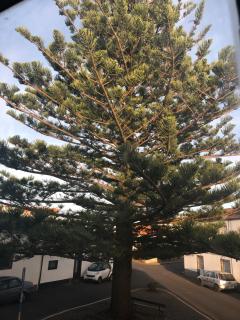 Hotel Santa Cruz - 9