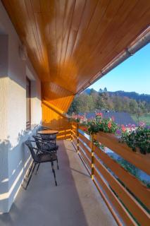 Fine Stay Apartments - Žirovnica - 5