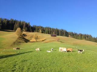 Neuhauserhof - Kartitsch - 3