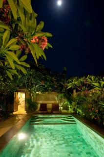 Taman Senang - Private Pool Villas - Gili Air - 2