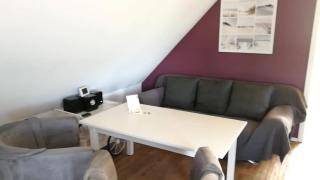 Elbe19 Ferienwohnung - Marschacht - 2
