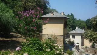 Vergopoulos Oliveyard - Mouresi - 3