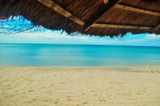 Coral Bay Resort - 4