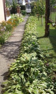 Apartman Anđelina Vrnjačka Banja - 5