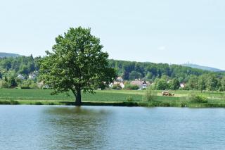 Landgasthof Zur Tanne - 2