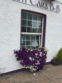 Anam Cara B&B - Cork - 5