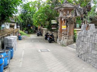 Putu's Paradise Guesthouse - Ubud - 2