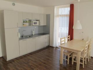 Apartmán Boubín na Kvildě - Kvilda - 4