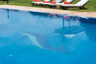 Villas Fleurs Marrakech - 8