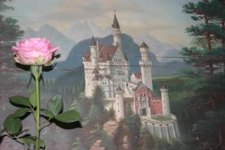 Haus Magnolia - Schwangau - 1
