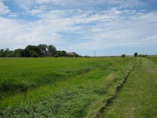 I Hjertet af Ballum - 8