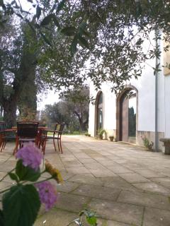Agriturismo Villa Coluccia - 6