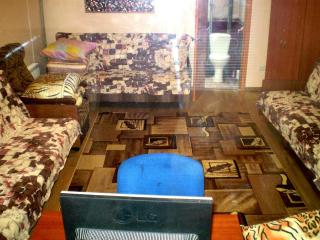 1 КОМ КВАРТИРА 1 ЭТАЖ 3 дивана, WI-FI, центр города, САДОВАЯ-ЧКАЛОВА "СИЛЬПО" и "АТБ" отдельный дом 2 этажа - 7