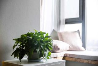 Henan Luoyang·Jian River· Locals Apartment 00130250 - Luoyang - 3
