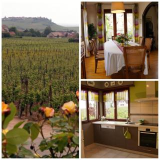 Gite Le Mandlé - Riquewihr - 6