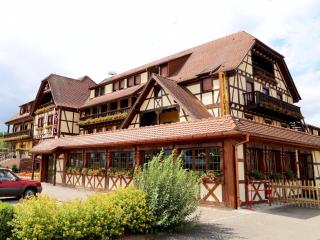 Hotel Au Parc des Cigognes - Kintzheim - 0