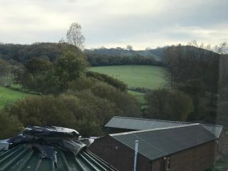 Godshill Park Barn - Ventnor - 8