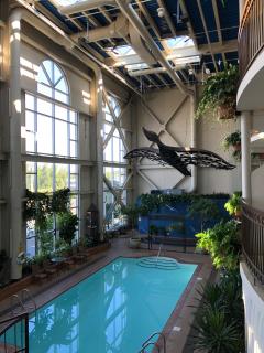 Hotel L'Oie des neiges - Lévis - 3