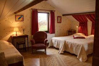 B&B Sol Magnus - Stavelot - 4
