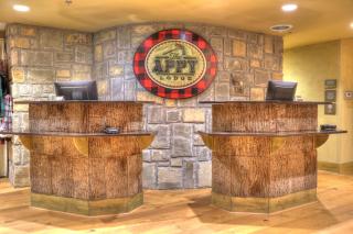 The Appy Lodge - Gatlinburg - 9