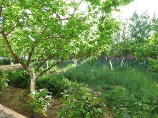 White House Hotel - 2