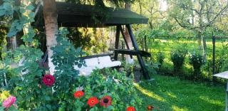 Pension Casa Aurora - 6