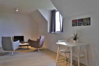 Woestyne Business & Leisure Apartments Cleythil - Aalter - 5