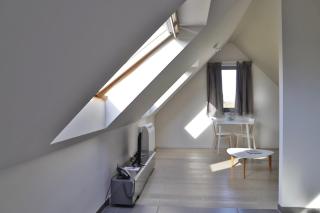 Woestyne Business & Leisure Apartments Cleythil - Aalter - 4