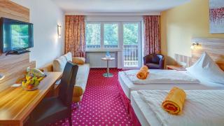 Hotel Christel - Heimbuchenthal - 6