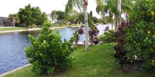 Sunny Paradise - Cape Coral - 4