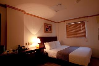 Hotel Daewoo Inn - Seul - 8